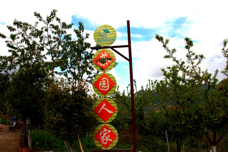茶园农家